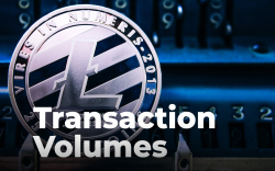 Litecoin Transaction Volume Spikes 55.8% as Pornhub Adopts LTC